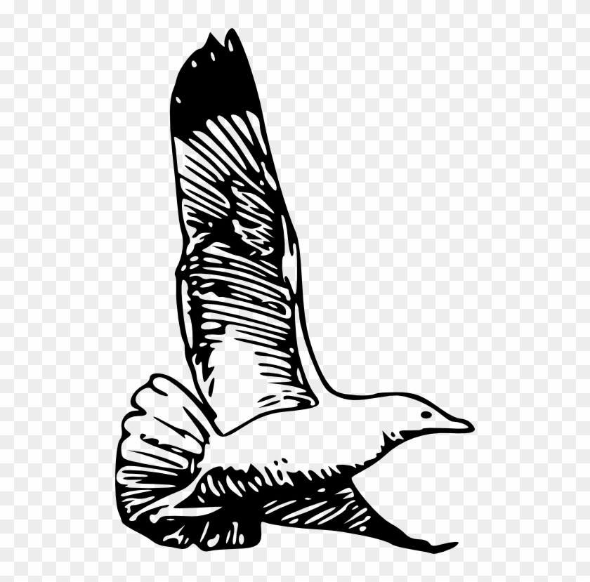 Best Gift - Herring Gull Hoodie/t-shirt/mug Black/navy/pink/white #200266