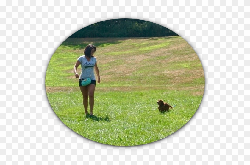﻿about Lily's Pad - Grass #1226981