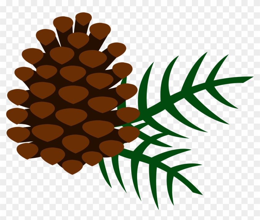 Pine Clipart - .uk #1227598