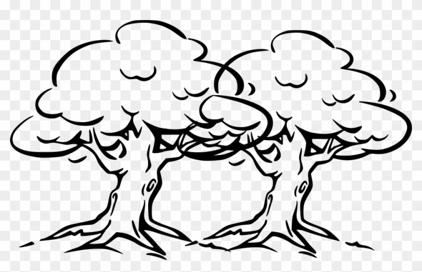 Tree Cartoon Black And White - Outline Drawing Banyan Tree #1227687
