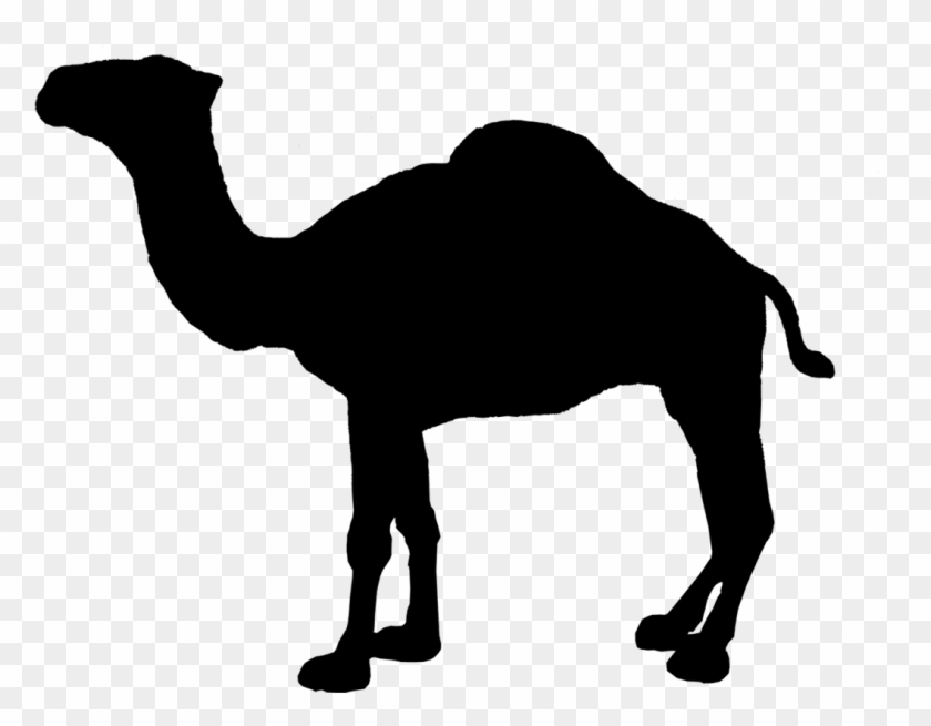Camel Cigarette Logo Clipart Vector Labs U2022 Rh Topplabs - Camel Cigarettes, Jade Silver, Turkish Blend - 20 Cigarettes #1228540