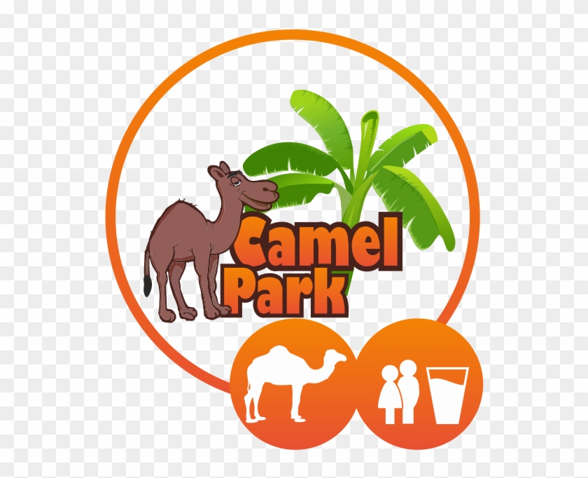Camel Ride Appetizer - Hors D'oeuvre #1228542