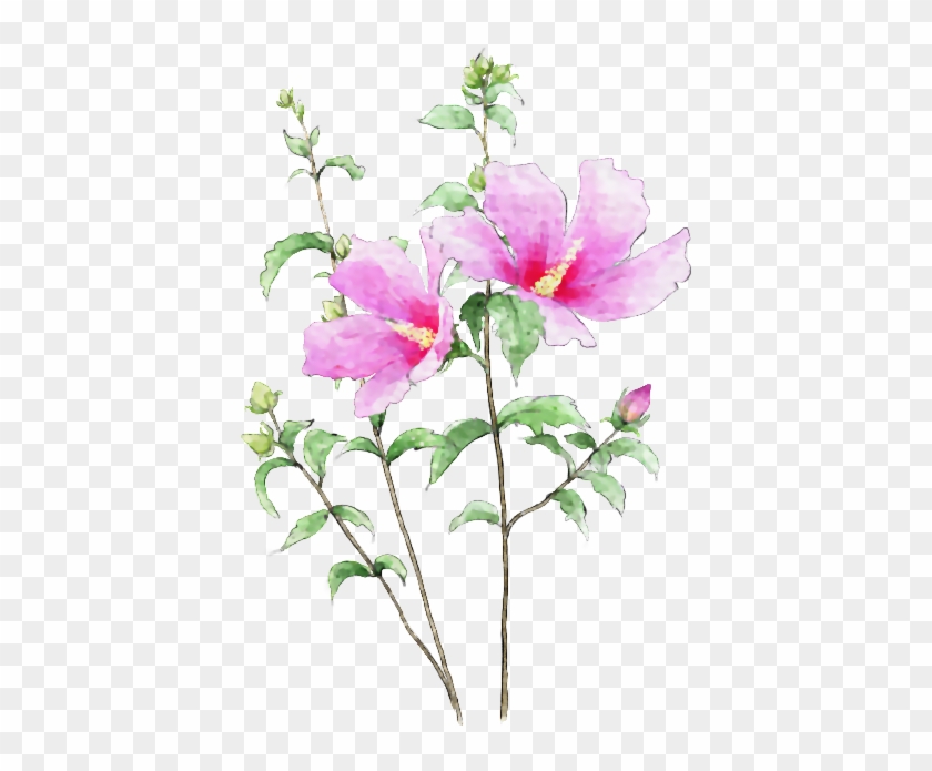 Art Designs - 木槿 花 #1228556