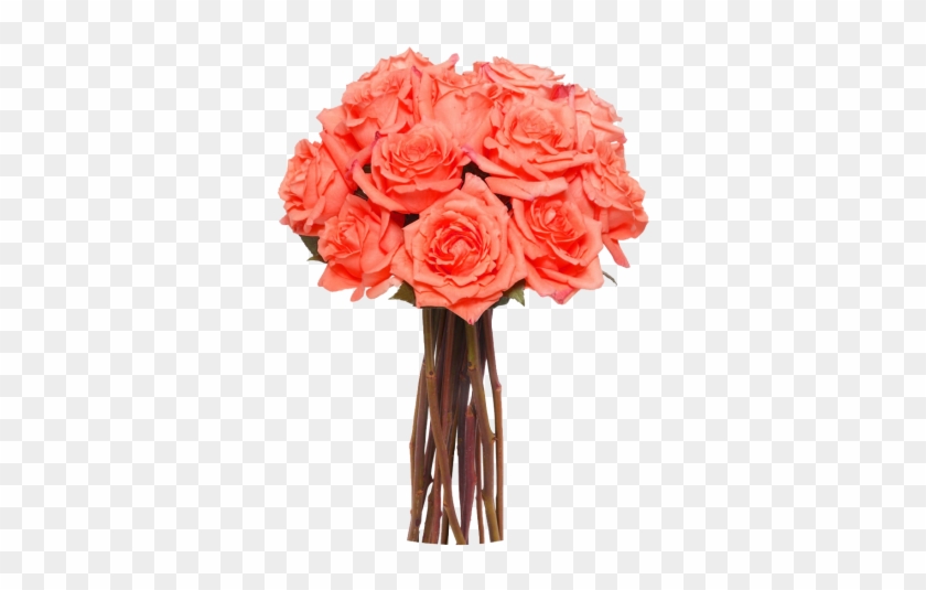 Long Stem Roses Transparent Png #1229018