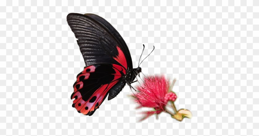 Red Butterflies - Colorful Flower Butterfly Rectangle Mouse Mat Gaming #1229037