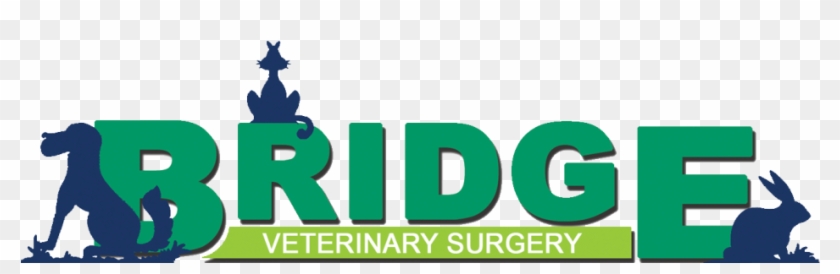 Veterinary Physician #1229338