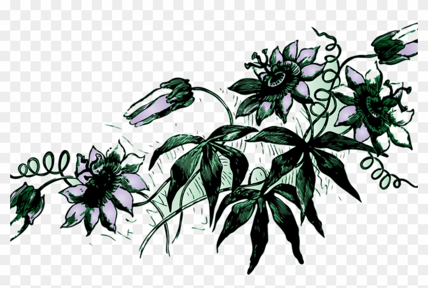 Vine Flower Floral Free Image On Pixabay - Für Die Liebe Der Lila Blühenden Reben T-shirt #1229483