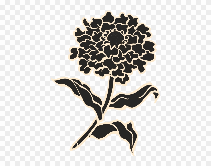 Wild-crafted Rose Marigold - Illustration #1229676