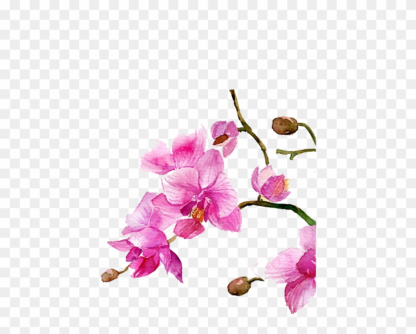 Watercolour Flowers Watercolor Painting Drawing - Watercolor Painting #1229735