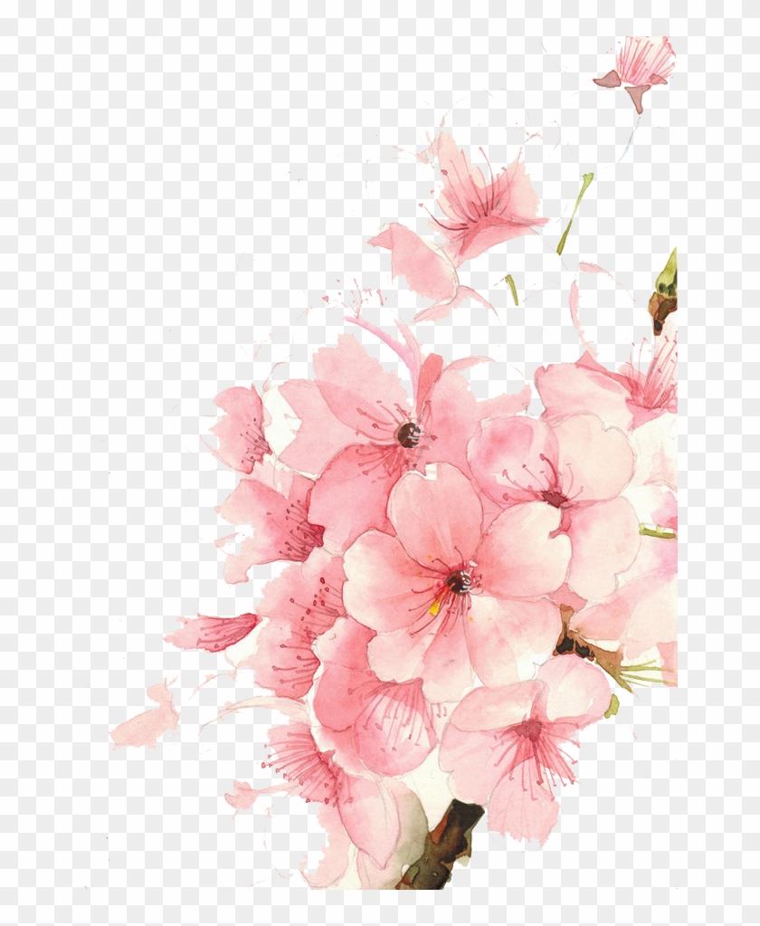 Watercolour Flowers Watercolor Painting Drawing - Watercolour Flowers Watercolor Painting Drawing #1229851