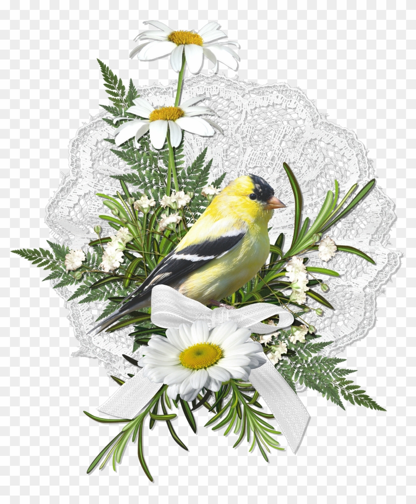 Preview Upcoming Kits, Grab My Digital Freebies & Downloadable - Illustration #1230251