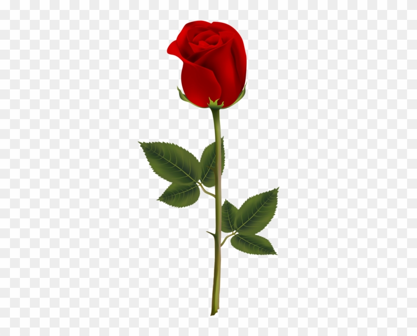Red Rose Transparent Png Image - Rose Transparent #1230590