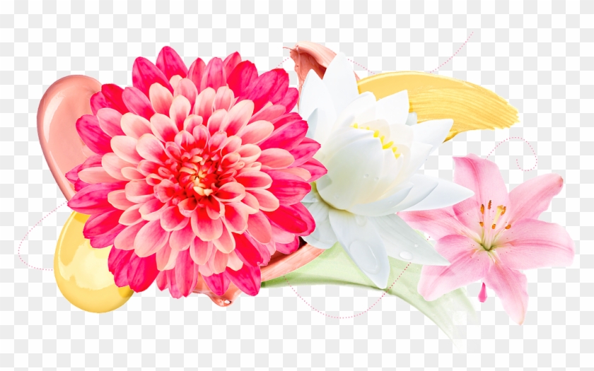 Create A Flawless Look To Correct And Perfect Your - Tesco Digital Floral Black Double #1230666