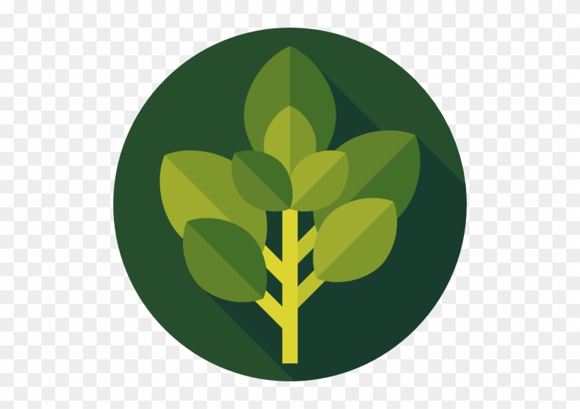 Basil Free Icon - Herb #1231042