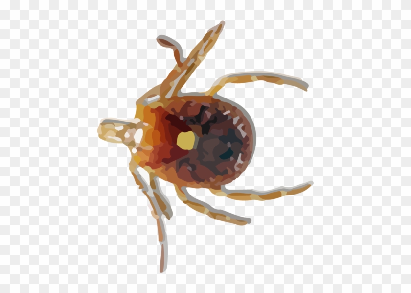 Tick Psd Png - Hgrmt Azkkvi Mosquito Medicated Relief Gel Wipe Away #1231071