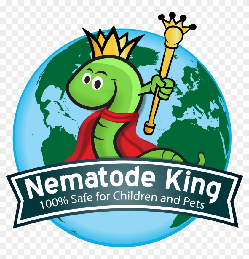 Nematode-king - Earth #1231619