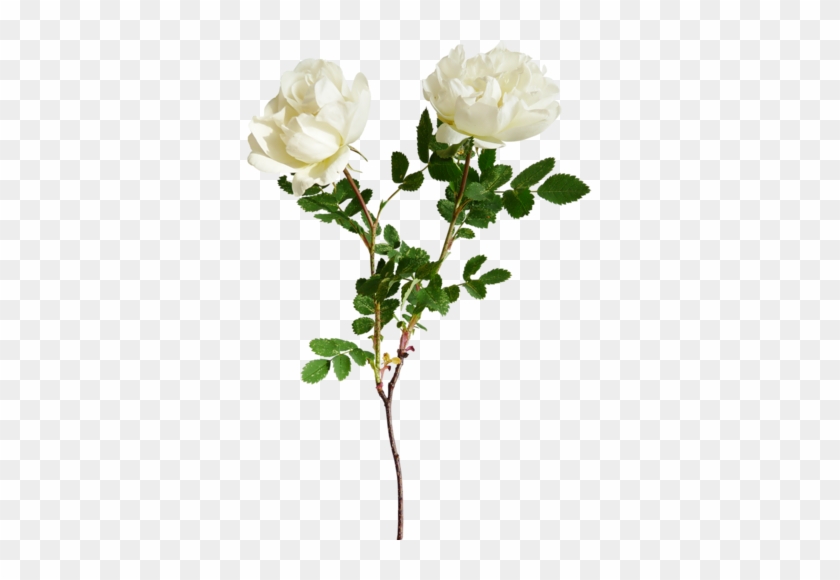 [ Img] - Clip Art #1232133