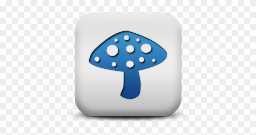 Mushroom Photos Icon Image - Food #1232361