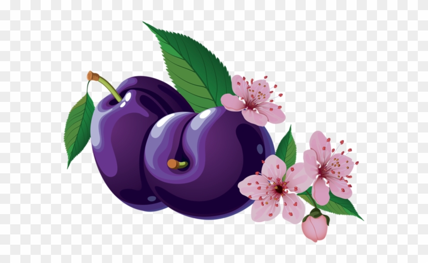 Plums - Plum #1232490