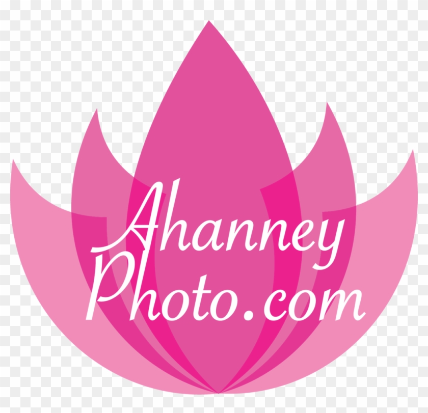   Photography #1233246