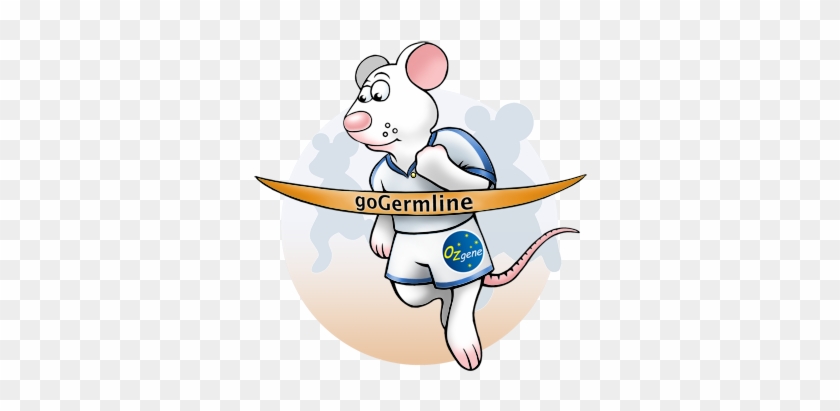 Gogermline The First Time - Cartoon #1233338