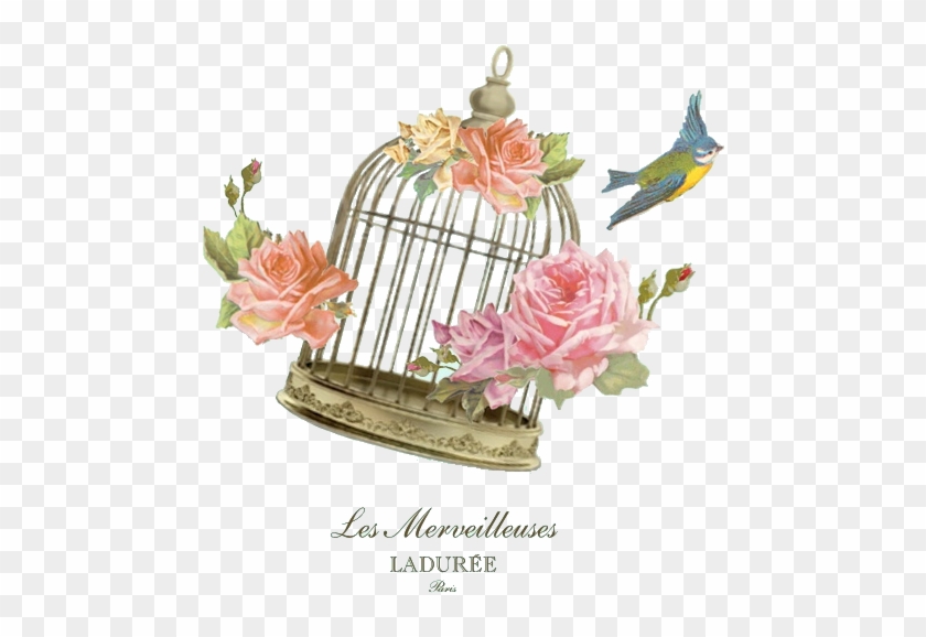 912 - Laduree Background #1233344