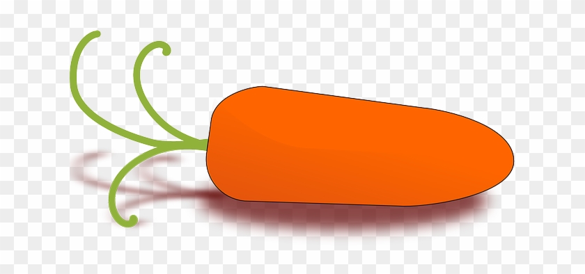 Baby, Food, Drawing, Cartoon, Little, Plant, Carrot - Food For Baby Drawing #1233614