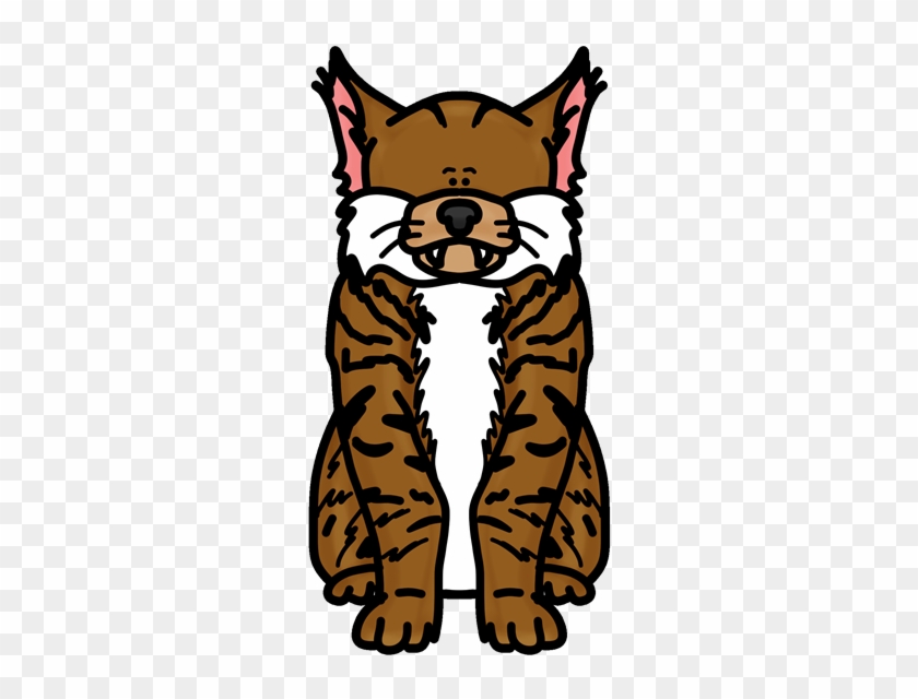 Decorative Illustration Of Bobcat - Decorative Illustration Of Bobcat #1233976