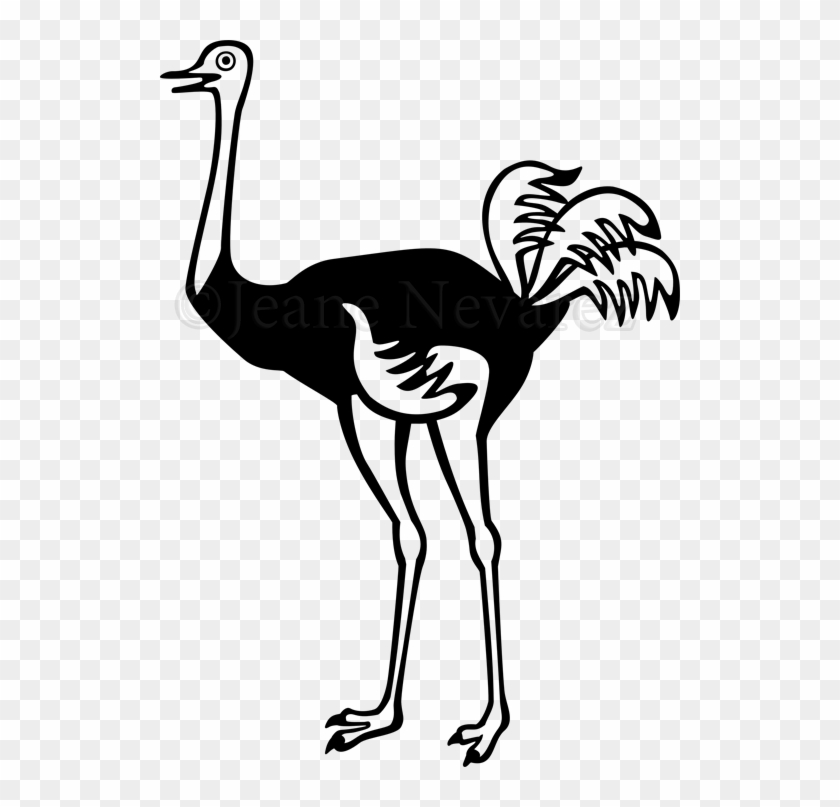 Ostrich - Ostrich #1234486