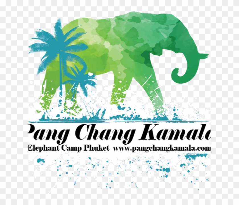 Elephants #1234826