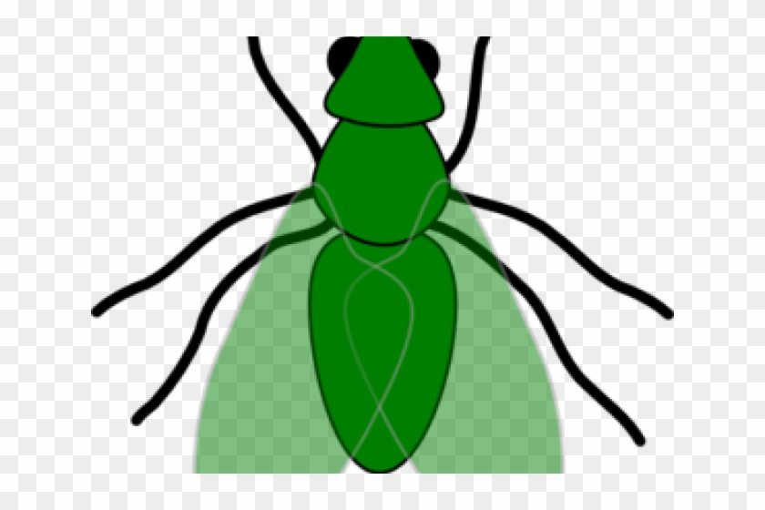 Fly Clipart Transparent - Fly Clip Art #1235154