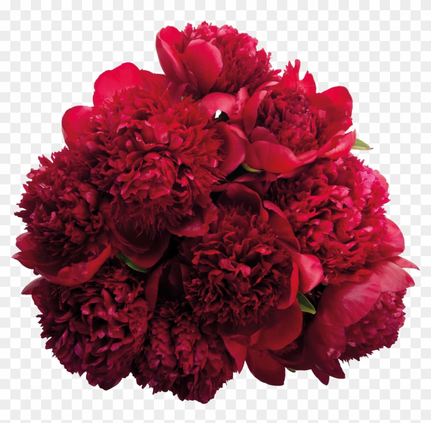 Peony Flower Bouquet Burgundy Pink Flowers - Flower Bouquet #1235396