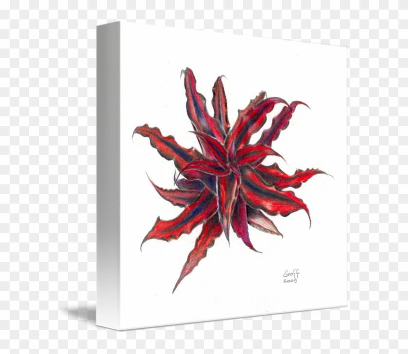 Maple Leaf #1235413
