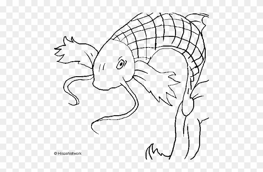 Dibujo De Carpa Japonesa Para Colorear - Desenhos De Carpas Para Colorir #1236195