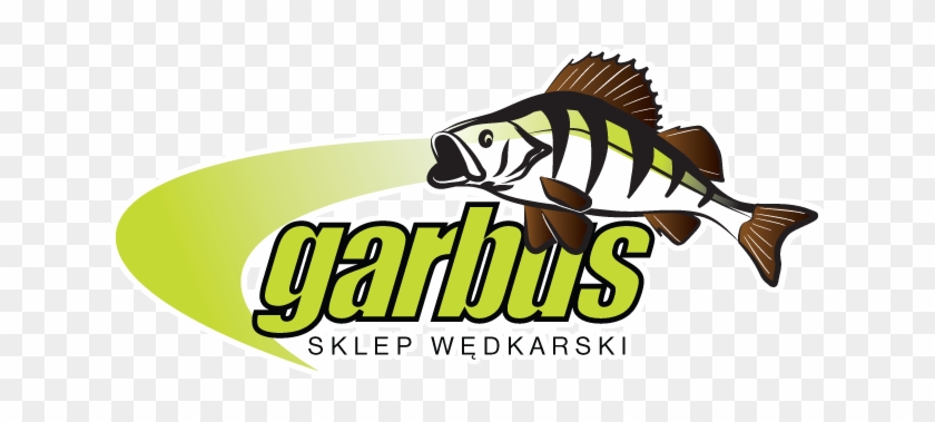 Zobacz Więcej - - Pomacentridae #1238095