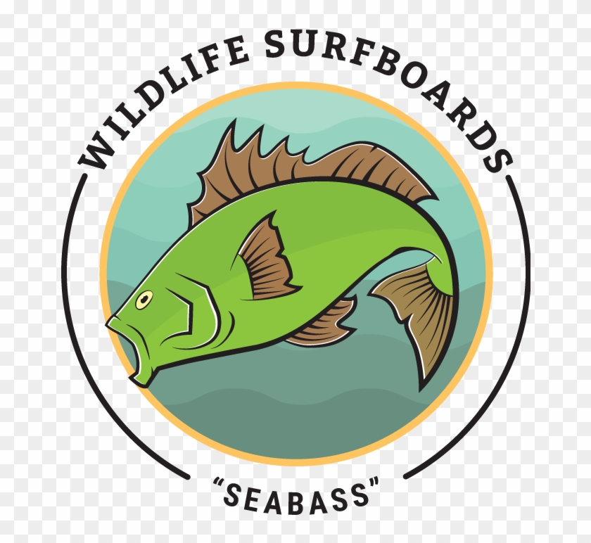 Seabass Trans - Khaki #1238103