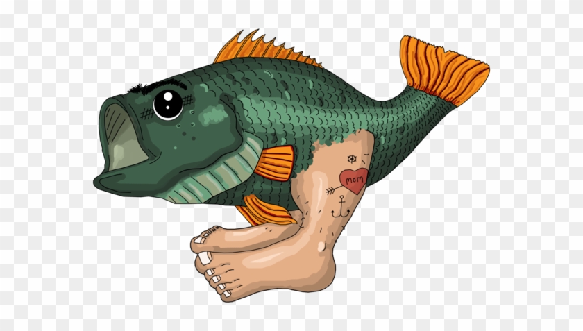 Perch #1238134