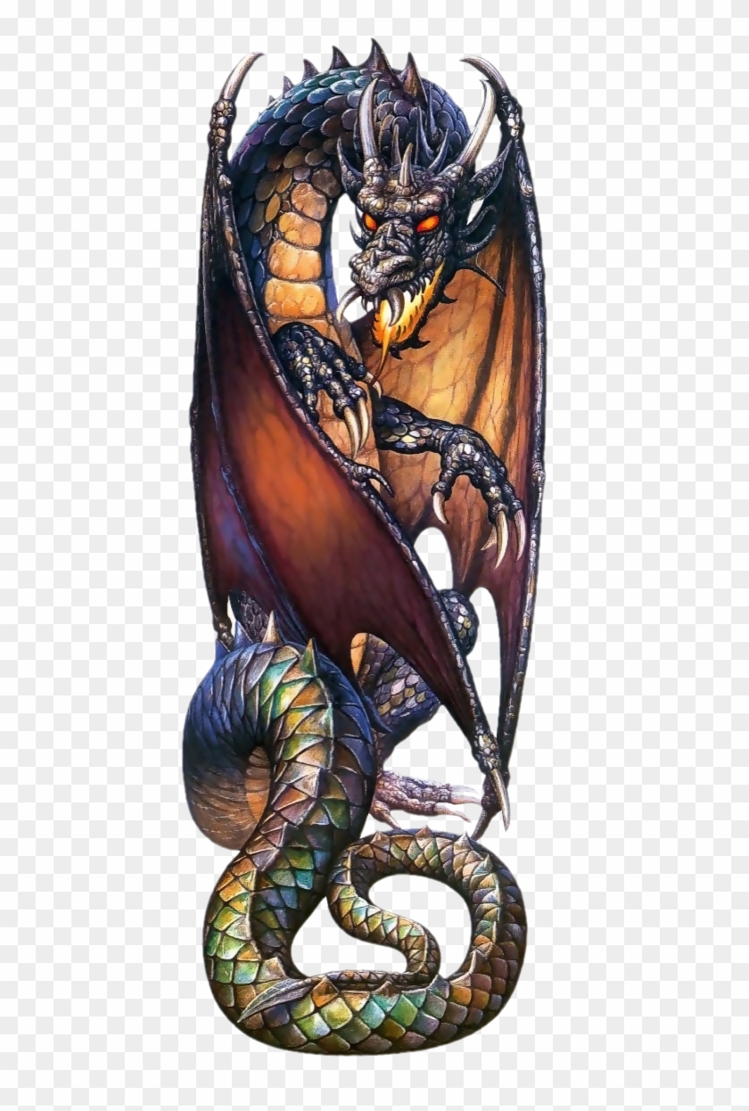 Drawings - Dragon-lover's Treasury Of The Fantastic [book] #1238607