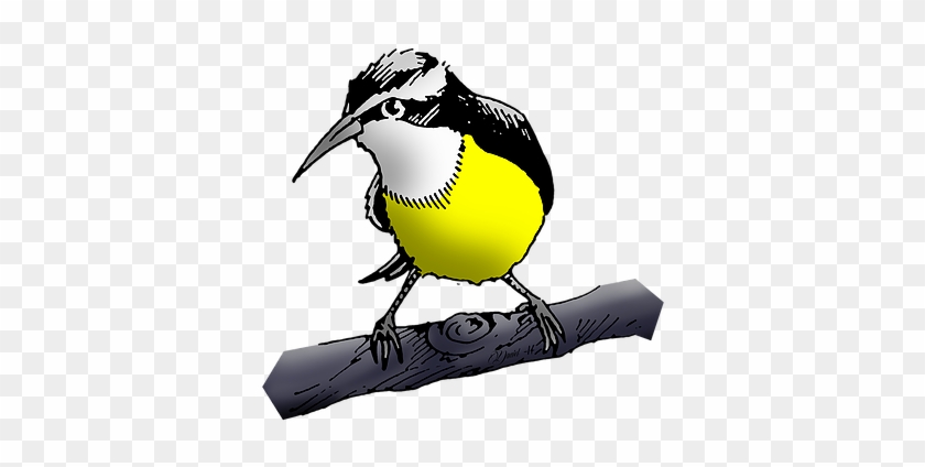 If You Are Looking For A New Business Image Or Just - Western Meadowlark #1238686