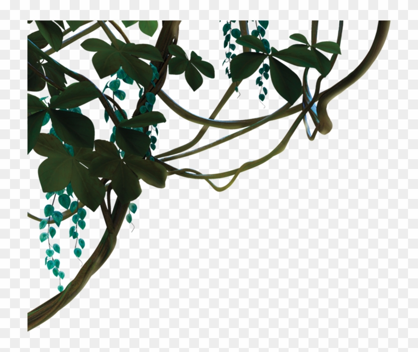 Dschungel Png #1239569
