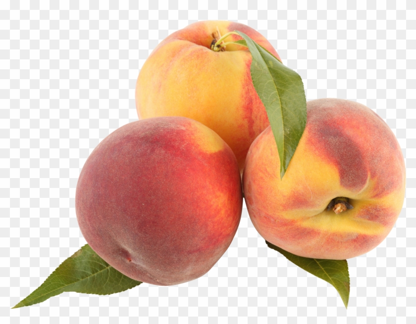Peach - Peach Png #1239643