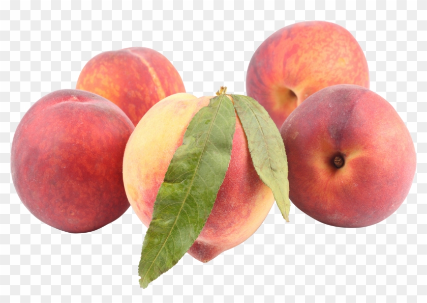 Peach - Peaches Png #1239667