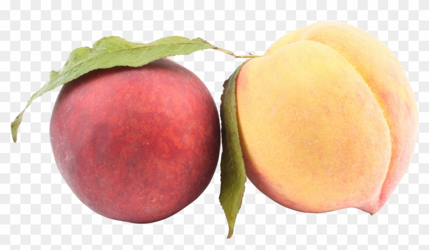Peach - Peach #1239712