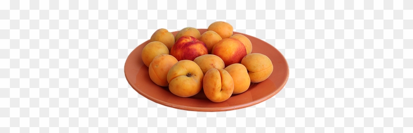 Food #1239713