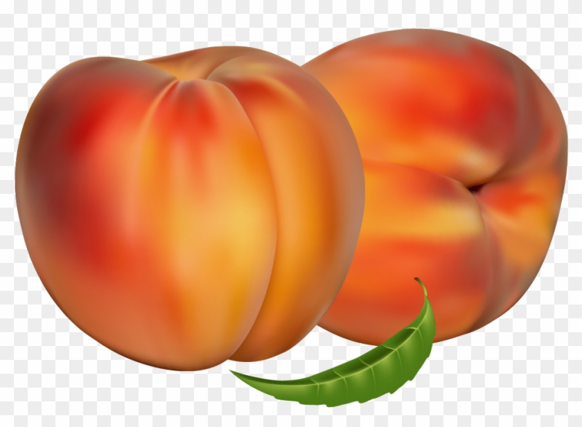 Peaches Png Clipart - Trimino Protein Infused Water, Peach, 16 Fl Oz (pack #1239748