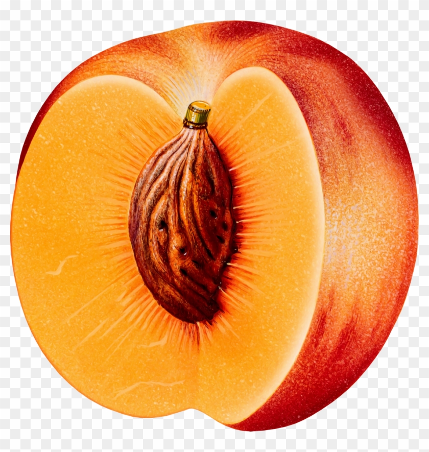 Peach - Peach Png #1239812