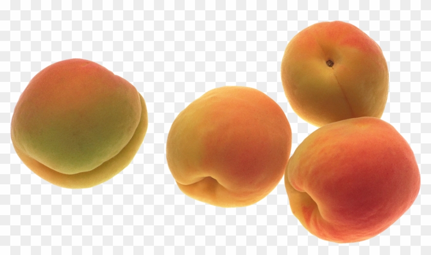 Peach - Abrikos #1239825