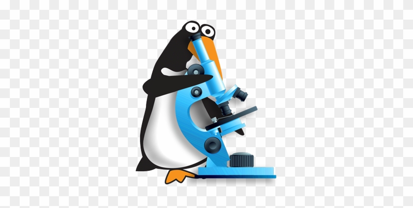 Our Expert Inspector Has The Special Tools Needed To - Water Damage #1240453