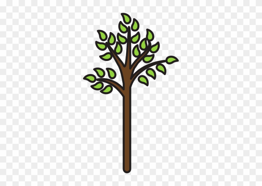 Tree Nature - Tree Nature #1240786