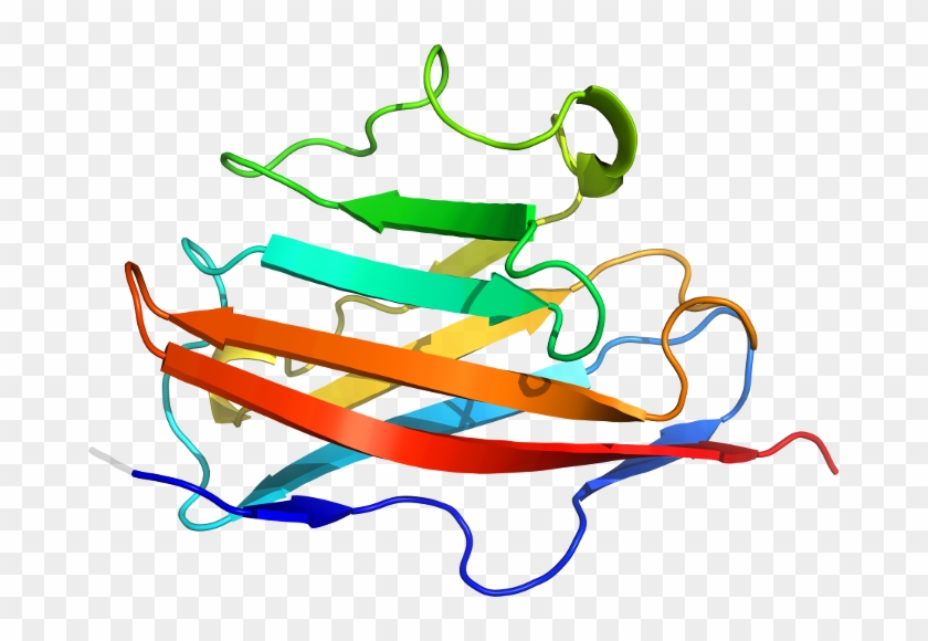 D1pkqj1 In Context Of Chain - D1pkqj1 In Context Of Chain #1241242